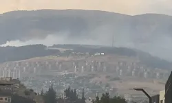 Kahramanmaraş'ta orman yangını