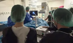 Romanyalı doktorlar, ablasyon yöntemini Türk hekimlerden öğrendi