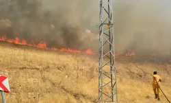 Diyarbakır'da örtü yangını
