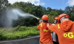 Gazetecilere orman yangınlarıyla mücadele eğitimi