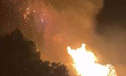 Gazipaşa'da orman yangını