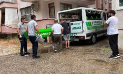 Balkondan düşen yaşlı kadın hayatını kaybetti
