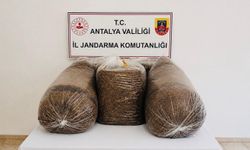 Antalya'da kaçak tütün operasyonu