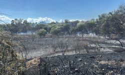Manavgat Sorgun Mahallesi Boğaz Mendirek yolunda korkutan yangın