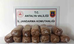 Antalya'da üç ilçede kaçak tütün operasyonu