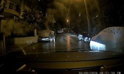Bu sefer can değil mal kurtardı