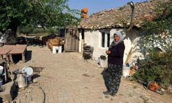 Hortumdan kurtuldular, evsiz kaldılar