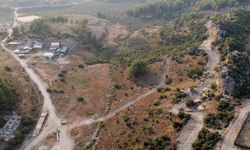 Manavgat'ta sokak hayvanlarına 75 dönümlük yaşam alanı