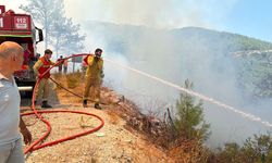 Antalya- Alanya'daki orman yangını kontrol altına alındı; 5 dönüm orman zarar gördü