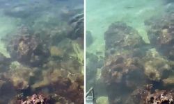Kaş'ta denize atık su karışmasına 839 bin lira ceza