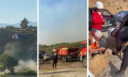 Yangın bölgesinde canlıların tahliyesi için seferber oldular