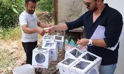 Üreticiye faydalı böcek desteği