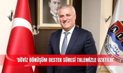 'Döviz dönüşüm destek süresi talemizle uzatıldı'