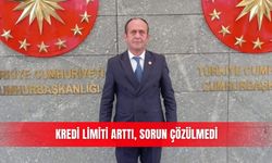 Kredi limiti arttı, sorun çözülmedi