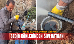 Kaş’ta yüzyıllık gelenek sürüyor: Sedir köklerinden sıvı katran