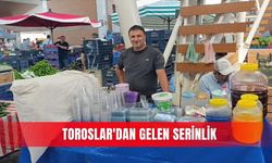 Toroslar'dan gelen serinlik