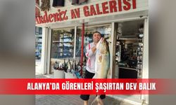 Alanya’da görenleri şaşırtan dev balık