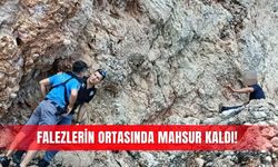 Falezlerin ortasında mahsur kaldı!
