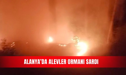 Alanya’da alevler ormanı sardı