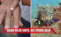 Aslan balığı soktu, buz uyarısı geldi