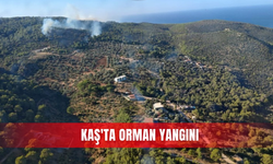 Kaş'ta orman yangını