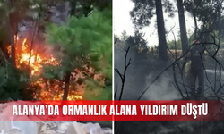 Alanya’da ormanlık alana yıldırım düştü