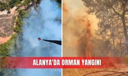 Alanya'da orman yangını