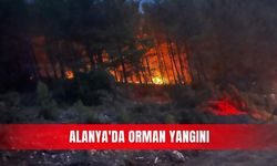 Alanya'da orman yangını