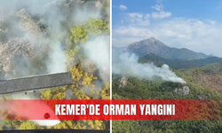 Kemer'de orman yangını