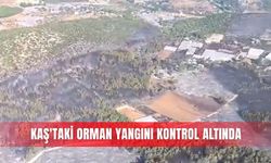 Kaş'taki orman yangını kontrol altında