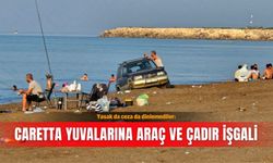 Yasak da ceza da dinlemediler: Caretta yuvalarına araç ve çadır işgali