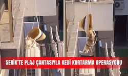 Serik’te plaj çantasıyla kedi kurtarma operasyonu