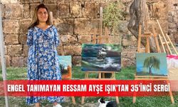 Engel tanımayan ressam Ayşe Işık'tan 35'inci sergi