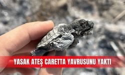 Yasak ateş caretta yavrusunu yaktı