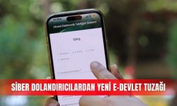 Siber dolandırıcılardan yeni e-Devlet tuzağı