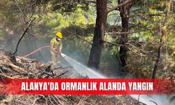 Alanya'da ormanlık alanda yangın