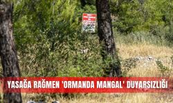 Yasağa rağmen 'ormanda mangal' duyarsızlığı