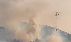 Bolu’da orman yangını çıktı