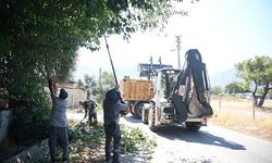 Konyaaltı'nda yangının önüne budamayla geçiliyor