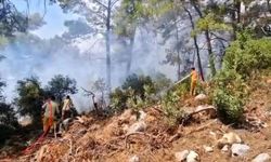 Kemer'de orman yangını: havadan ve karadan müdahale sürüyor