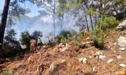 Kemer'de orman yangını: havadan ve karadan müdahale sürüyor