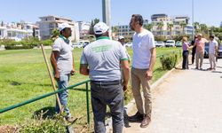 Manavgat’ta sahil düzenlemesi