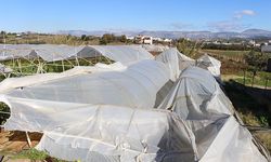 Üreticilere 657 bin 400 metrekare sera naylonu hibe edildi