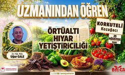 Korkuteli'nde 'Uzmanından Öğren' eğitimi