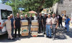 Büyükşehir'den arıcılığa dev destek