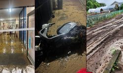 Japonya'yı vuran şiddetli yağışlarda ölü sayısı 10'a yükseldi, bin 499 bina sular altında kaldı