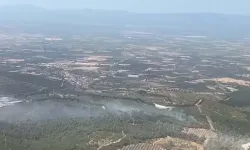Manisa'da orman yangını