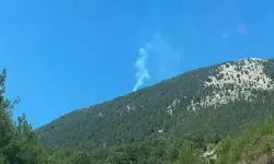 Fethiye’de orman yangını
