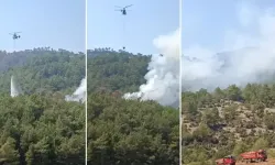 Kozan'da orman yangını