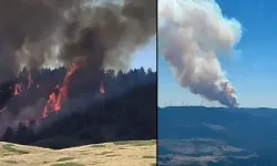 Ankara'da orman yangını